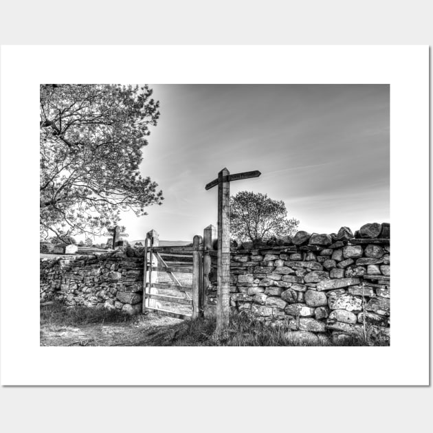 Yorkshire Dales Dilemma Wall Art by tommysphotos